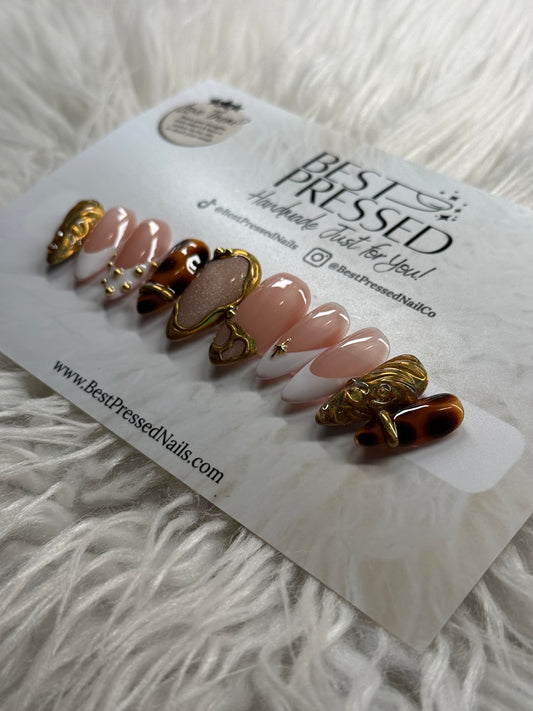 White Chocolate Truffle | Early Winter Collection